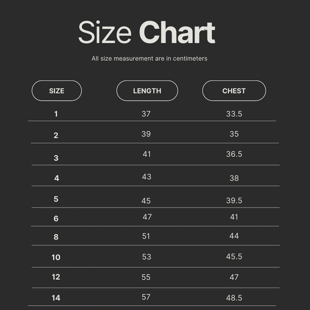 Winter and Raven - Luxe Acid Wash Tee | Vintage Stone