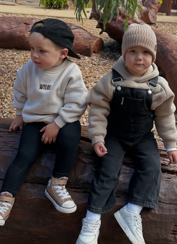 Fleecy Essentials Hoodie | 2 Colours