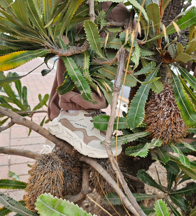 Chunky 3 Tone Sneakers | Brown