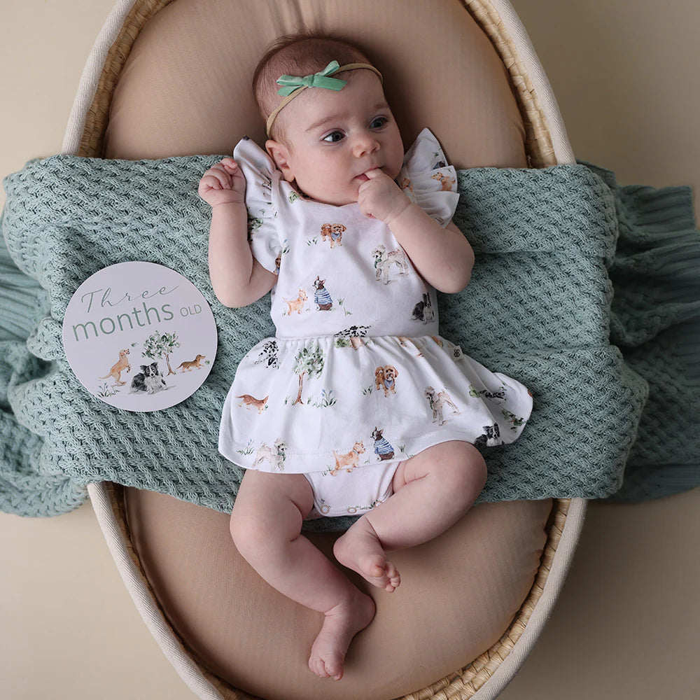 Snuggle Hunny Kids - Reversible Milestone Cards | Dog Park & Seedling