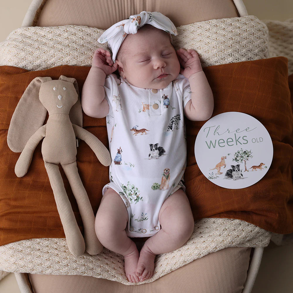 Snuggle Hunny Kids - Short Sleeve Organic Bodysuit | Dog Park