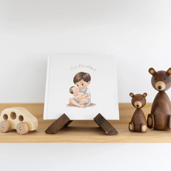 Little Love Chapters - Big Brother Book