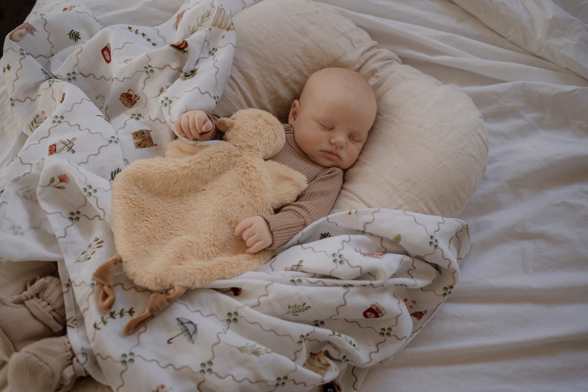 Pop Ya Tot - Swaddle | Cottage Picnic