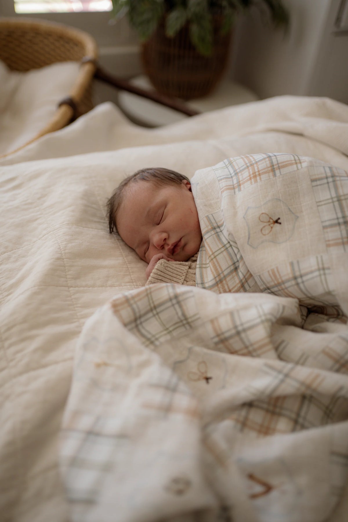 Pop Ya Tot - Swaddle | Old Sport