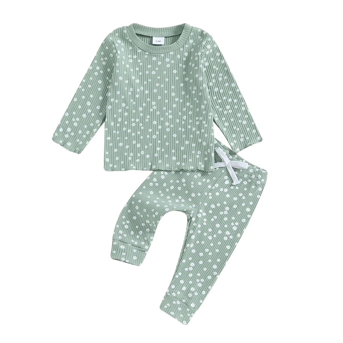 Winter Daisy Set | Sage
