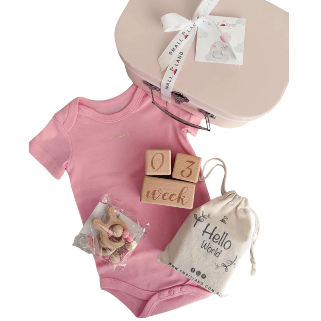 Small Land - Small Baby Girl Gift Box | Newborn & Baby Shower Gift Box
